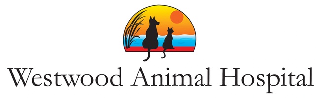Westwood animal hotsell hospital hours